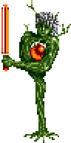 Goldroot